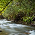 Rio Genil. Fotografía, Antonio Luis Martínez