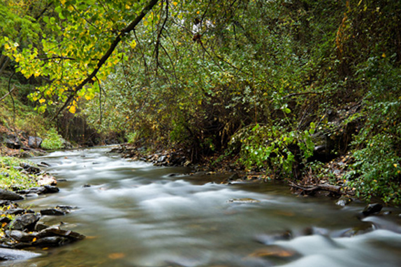 Rio Genil. Fotografía, Antonio Luis Martínez